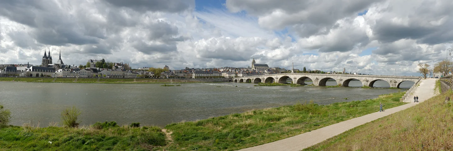 Blois et ses bâtiments au bord de la Loire, vus depuis la rive opposée.